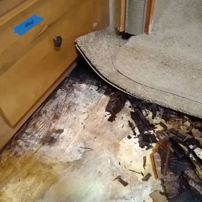 Wood Floor Water Damage in Thurmont, MD